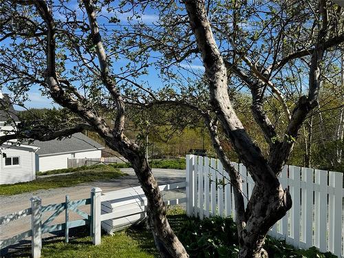 9 Loop Road, Happy Adventure, NL 