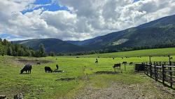 33 Lang Road  Cherryville, BC V0E 2G3