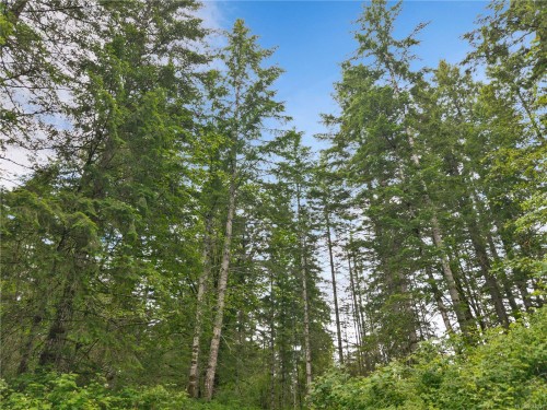 4040 York Rd, Campbell River, BC 