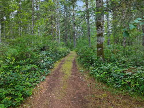 4040 York Rd, Campbell River, BC 