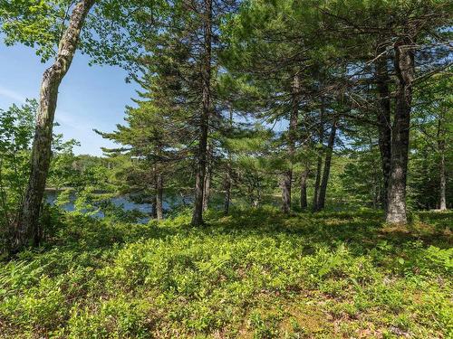 799 Coldstream Road, East Quinan, NS - Outdoor With View