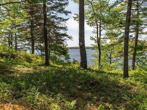 799 Coldstream Road, East Quinan, NS - Outdoor With Body Of Water With View