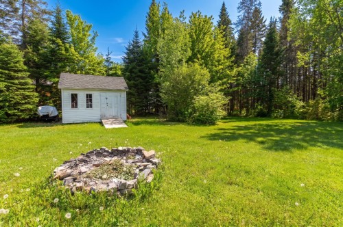 Cour - 137 Rue Miller, Shannon, QC 