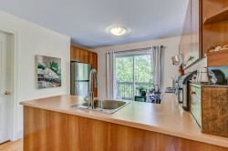 Kitchen - 