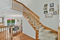 Escalier - 