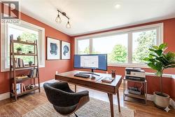 Bright room with wood-finish flooring - 