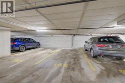 Image quality insufficient for description - 