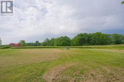 Overlooking Your Nearly 9 Acres - 
