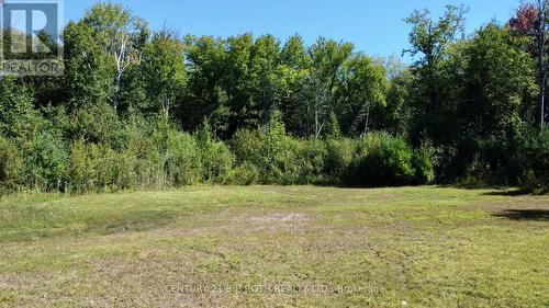 5 Gerus Road, Tiny, ON 
