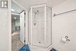Finished Basement - 