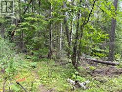 Lot D Kane Road  Nelson, BC V1L 6S9