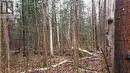 6125 Second Concession Road, Clearview, ON 