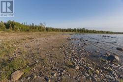Shoreline in front of home - 