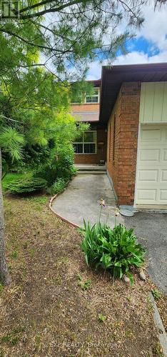 39 Timbermill Crescent, Markham, ON 