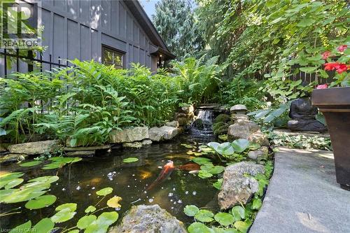 Backyard pond - 58 Central Drive, Hamilton, ON 
