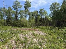 Lot 4 Pearl Bay Rd  Shuniah, ON P0T 2M0