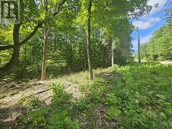 PT LT 22 O'GRADY SETTLEMENT ROAD Killaloe, Hagarty And Richards, ON K0J 2A0