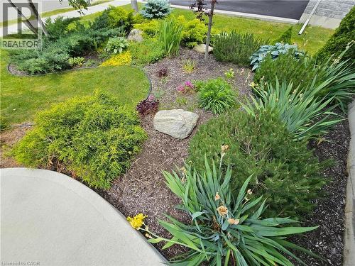 Front gardens - 98 Allandale Crescent, Simcoe, ON - Outdoor