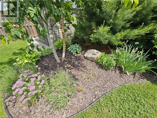 Expansive lawn framed by a curved garden bed with diverse plantings - 98 Allandale Crescent, Simcoe, ON - Outdoor