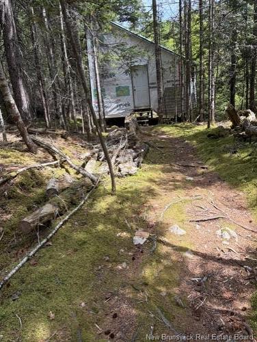 199 Fiander Road, Bocabec, NB 