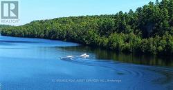 19 SHADY MAPLE ROAD Mcnab/Braeside, ON K0J 1G0