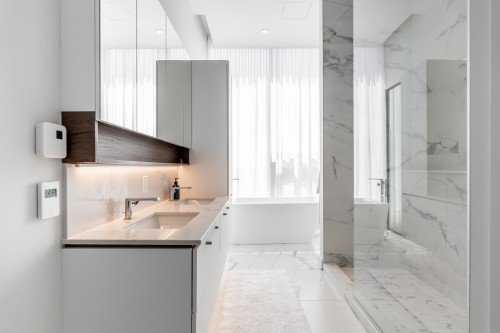 Salle de bains - 1204-605 Rue De L'Escale, Brossard, QC 