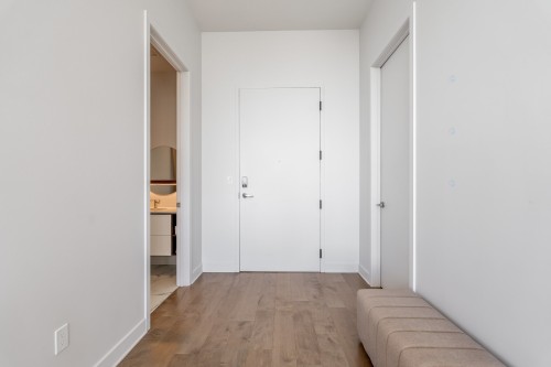 Hall d'entrée/Vestibule - 1204-605 Rue De L'Escale, Brossard, QC 