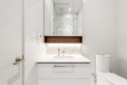 Salle de bains - 1204-605 Rue De L'Escale, Brossard, QC 