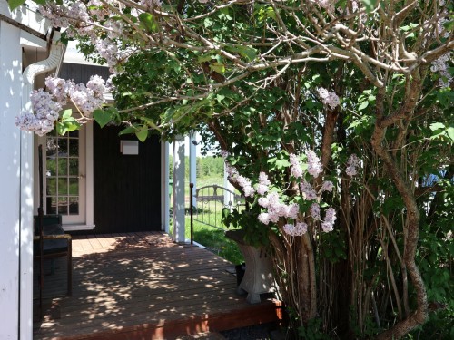 Courtyard - 560 4E Rang E., Sainte-Louise, QC 