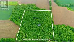 Welcome to The Forest House - 