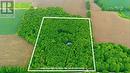 Welcome to The Forest House - 805500 25 Side Road, Grey Highlands, ON 