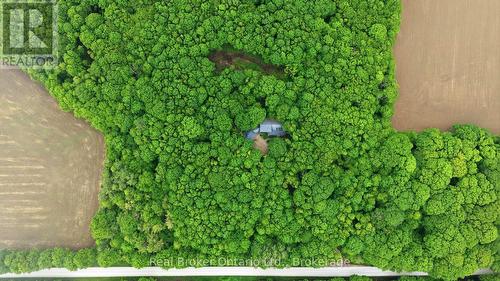 Completely private from all directions - 805500 25 Side Road, Grey Highlands, ON 