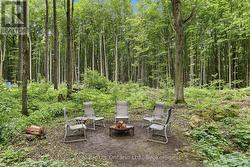 Backyard - 