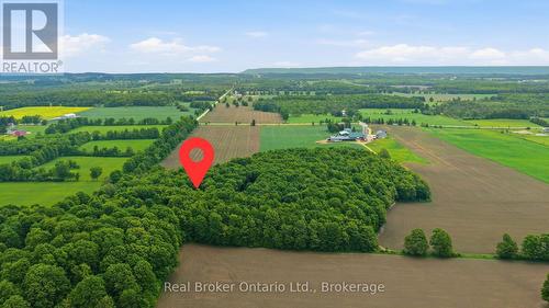 Ideal location - 805500 25 Side Road, Grey Highlands, ON 