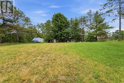 Huge lot! - 