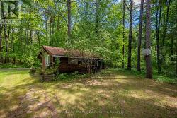 Private bunkie. - 