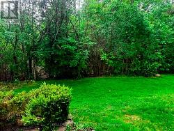View from Front Door - 
