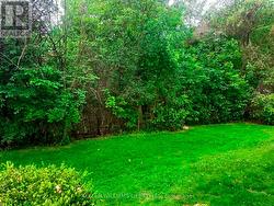 View From Kitchen Window - 