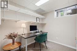 Basement office - 