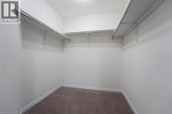 Walk in closet with carpet - 
