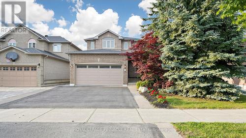 164 Anthony Avenue, Mississauga, ON 