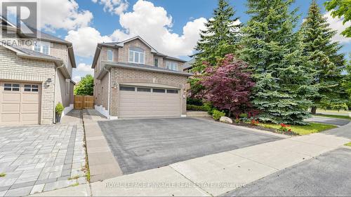 164 Anthony Avenue, Mississauga, ON 