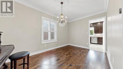 164 Anthony Avenue, Mississauga, ON 