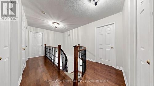 164 Anthony Avenue, Mississauga, ON 