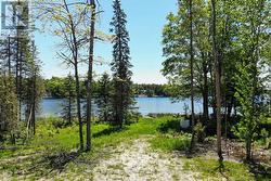 0 PEARCE ROAD Kawartha Lakes (Bexley), ON K0M 2B0