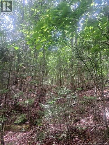 0 Pattersonsiding/Town Plot Road, St. Martins, NB 