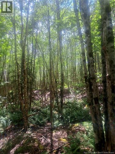 0 Pattersonsiding/Town Plot Road, St. Martins, NB 