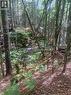 0 Pattersonsiding/Town Plot Road, St. Martins, NB 