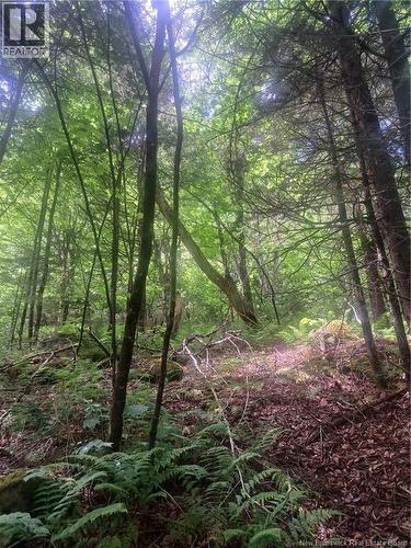 0 Pattersonsiding/Town Plot Road, St. Martins, NB 