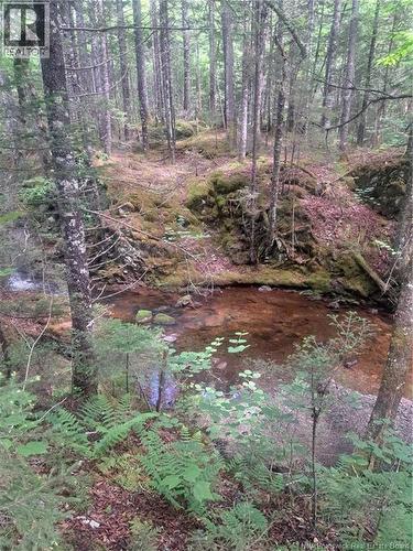 0 Pattersonsiding/Town Plot Road, St. Martins, NB 